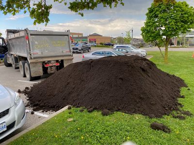 Soil.jpg